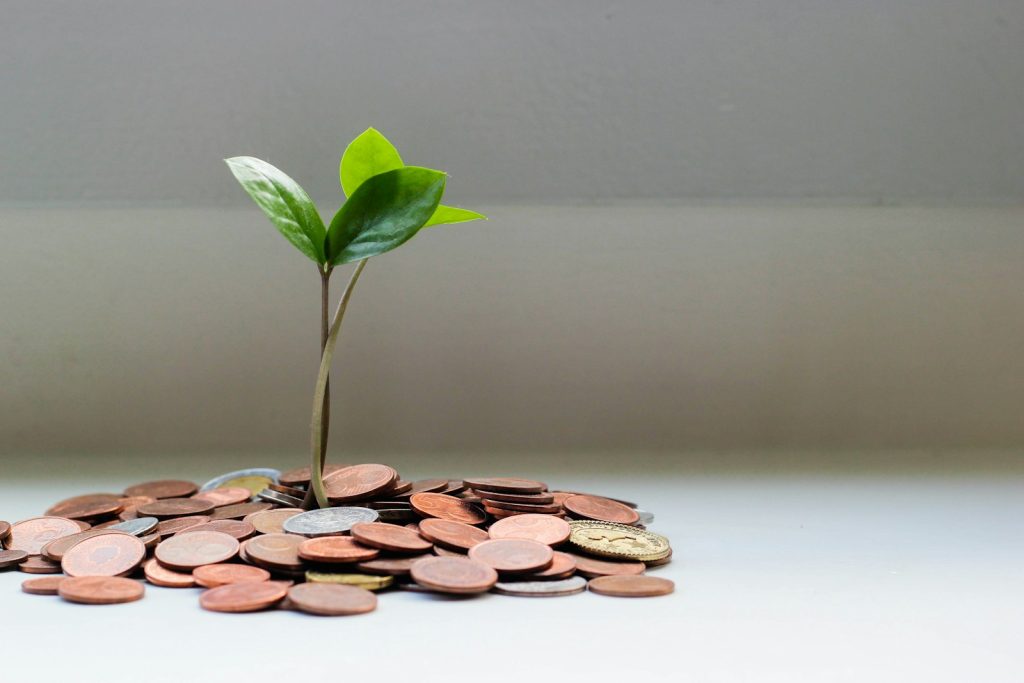 Planta que crece sobre un montón de monedas, símbolo de empezar a invertir con poco dinero